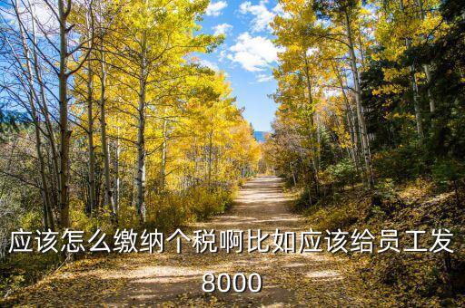 企業(yè)員工的個(gè)人所得稅如何繳納，應(yīng)該怎么繳納個(gè)稅啊比如應(yīng)該給員工發(fā)8000