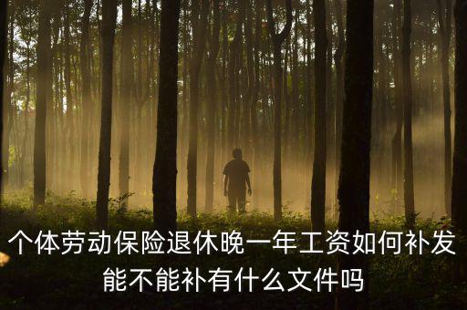 如何補(bǔ)發(fā)工資，個(gè)體勞動(dòng)保險(xiǎn)退休晚一年工資如何補(bǔ)發(fā)能不能補(bǔ)有什么文件嗎