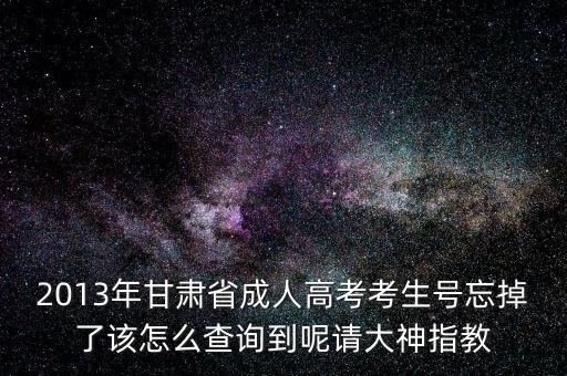 甘肅省如何查號，2013年甘肅省成人高考考生號忘掉了該怎么查詢到呢請大神指教