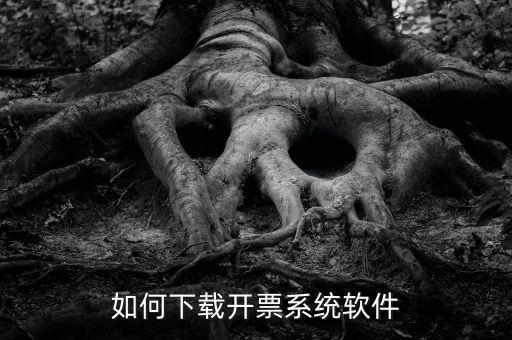 發(fā)票軟件如何下載軟件，怎么安裝稅控發(fā)票開票軟件v20