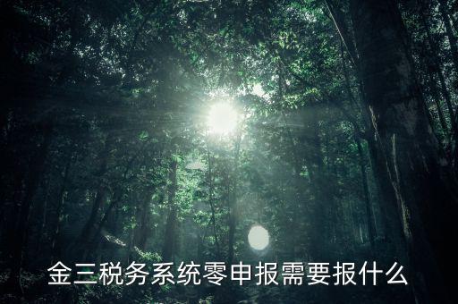 金三稅務(wù)系統(tǒng)零申報(bào)需要報(bào)什么