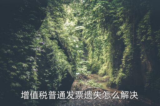 增值稅普通發(fā)票遺失怎么解決