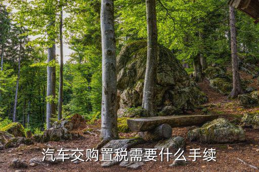 車輛購(gòu)置稅如何辦理，購(gòu)買車輛購(gòu)置稅需要哪些手續(xù)