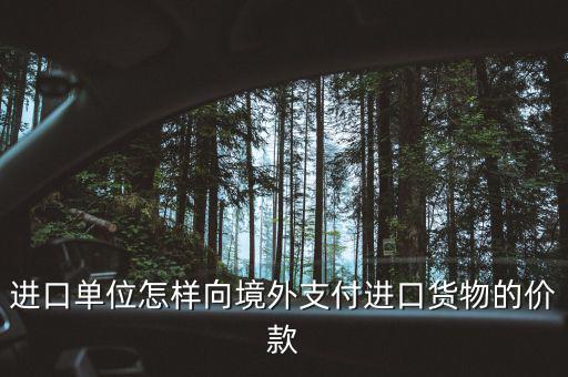 企業(yè)如何境外付款嗎，進(jìn)口單位怎樣向境外支付進(jìn)口貨物的價(jià)款