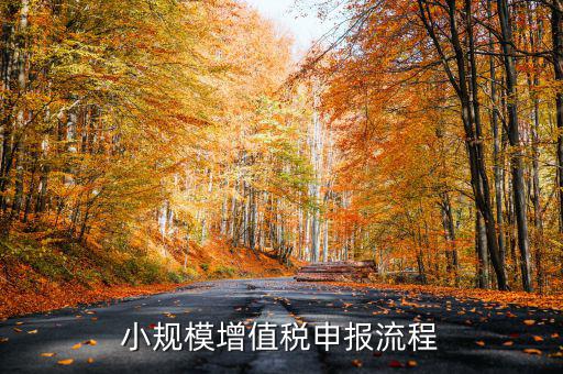 小規(guī)模納稅人 如何申報(bào)，小規(guī)模增值稅申報(bào)流程