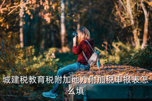 新城建稅附加表如何填，網上申報城建稅教育附加稅怎么填