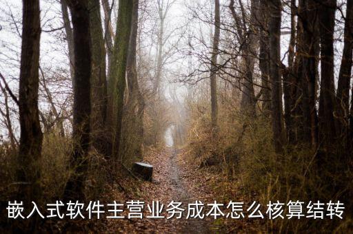 嵌入式軟件成本如何確定，嵌入式軟件主營業(yè)務(wù)成本怎么核算結(jié)轉(zhuǎn)