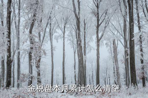 金稅盤如何清稅盤，金稅盤如何清卡解鎖