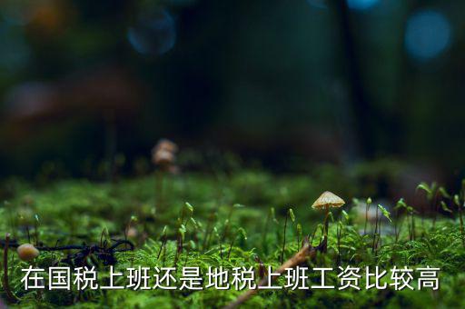 地稅局發(fā)展如何，我要考天津稅務(wù)局想問市區(qū)各地稅局和濱海地稅一分局哪個好呢