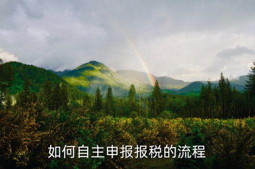 如何進(jìn)行稅務(wù)申報，個體戶如何申報稅