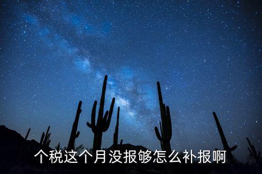 如何補報個人所得稅，個人所得稅報錯了怎么補報