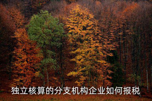 獨(dú)立核算的分支機(jī)構(gòu)企業(yè)如何報稅