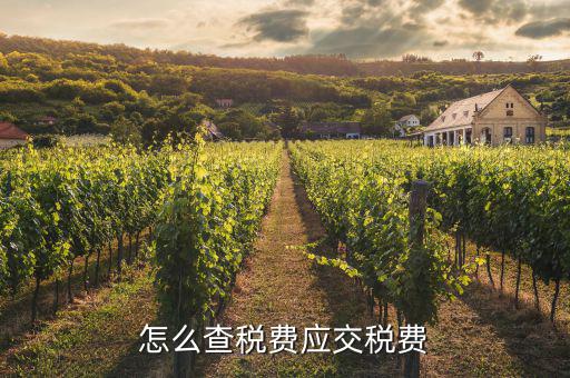 如何查詢已繳稅款，用友具體項目已交稅金在哪里查詢