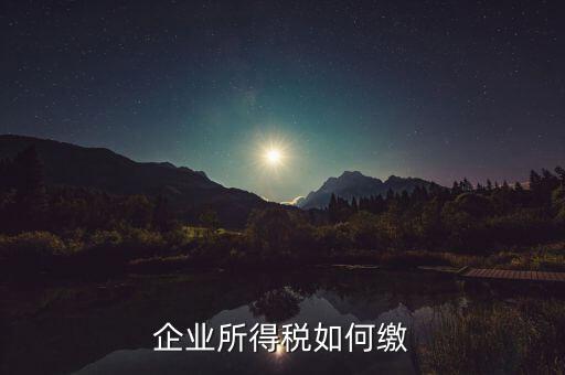 企業(yè)所得稅如何繳稅，企業(yè)所得稅如何繳納