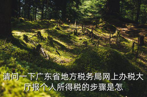 廣州地稅如何網(wǎng)上申報，想請教如何辦理廣州地稅網(wǎng)上申報