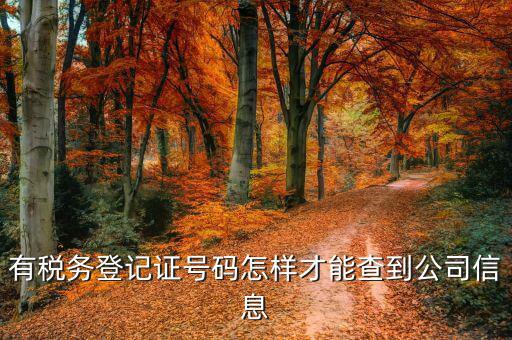 如何查詢公司稅務(wù)信息，怎么用稅證號(hào)碼查詢企業(yè)信息