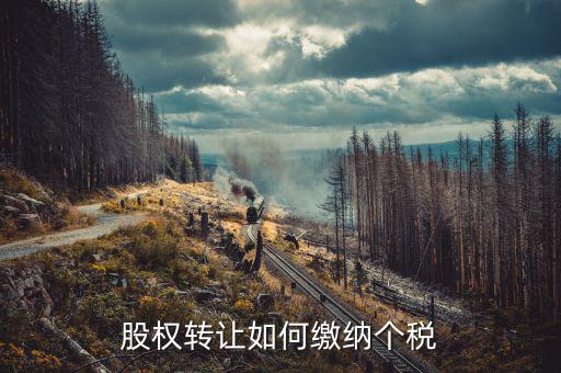 股權(quán)轉(zhuǎn)讓如何交稅，股權(quán)轉(zhuǎn)讓如何繳納個(gè)稅