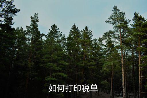 公司稅單如何查詢打印，關(guān)于公司稅單打印問題