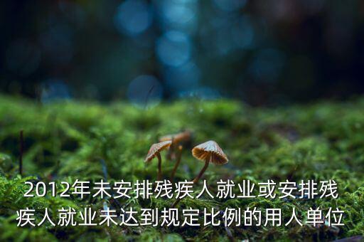 殘保金如何計(jì)算，2012年未安排殘疾人就業(yè)或安排殘疾人就業(yè)未達(dá)到規(guī)定比例的用人單位
