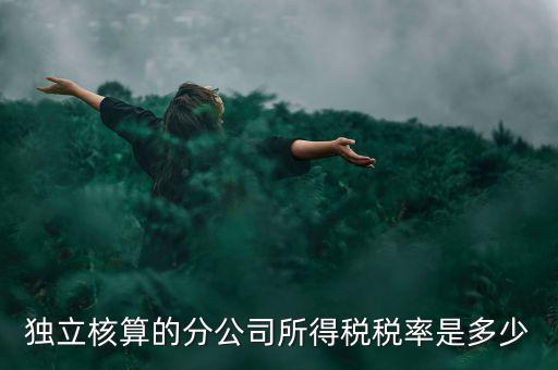 獨(dú)立核算的分公司如何納稅，誰知道獨(dú)立核算的同城分公司如何繳稅