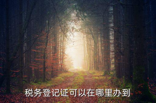 如何辦理稅種登記，辦好營業(yè)執(zhí)照后怎么辦理稅務(wù)登記證