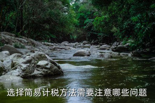 選擇簡易計(jì)稅方法需要注意哪些問題
