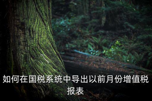 如何導(dǎo)出增值稅申報表，如何在國稅系統(tǒng)中導(dǎo)出以前月份增值稅報表