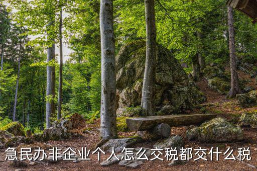 民非企業(yè)如何納稅申報(bào)，民辦非企業(yè)單位如何繳納個(gè)人所得稅
