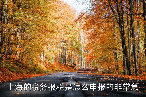上海市國地稅如何申報(bào)，上海地稅是網(wǎng)上報(bào)稅嗎采取什么方式申報(bào)