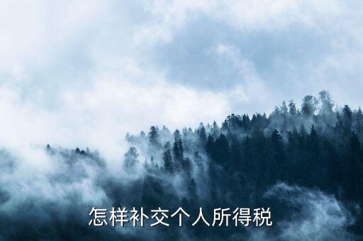 如何補交個人所得稅，如何用個人所得稅扣繳系統(tǒng)補繳稅款