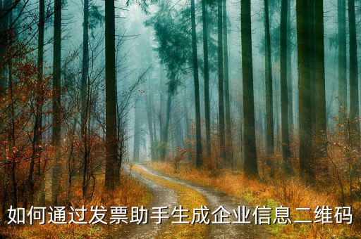 如何生成企業(yè)開票二維碼，如何通過發(fā)票助手生成企業(yè)信息二維碼