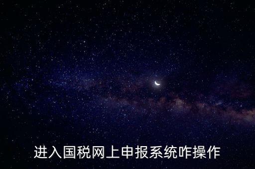 進入國稅網(wǎng)上申報系統(tǒng)咋操作