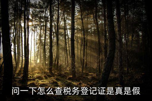 問一下怎么查稅務登記證是真是假