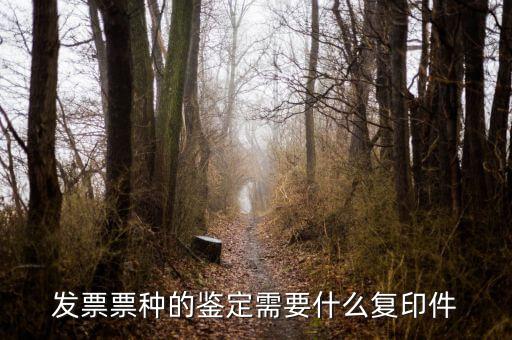 如何做票種認定，如何申請發(fā)票票種