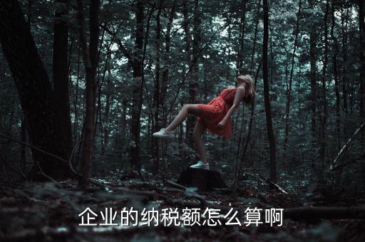 企業(yè)納稅如何計(jì)算，企業(yè)的納稅額怎么算啊