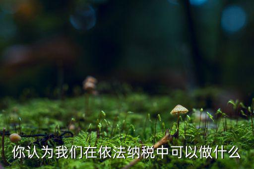 如何做到依法納稅，你認(rèn)為我們?cè)谝婪{稅中可以做什么