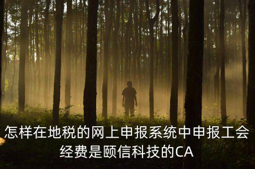 工會經(jīng)費(fèi)如何網(wǎng)上申報(bào)，怎樣在地稅的網(wǎng)上申報(bào)系統(tǒng)中申報(bào)工會經(jīng)費(fèi)是頤信科技的CA
