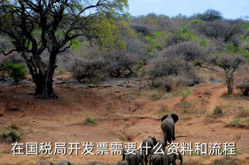 國稅局批票如何辦理，在國稅局開發(fā)票需要什么資料和流程