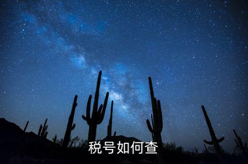 發(fā)票稅號(hào)如何查詢系統(tǒng)，開發(fā)票不知道客戶的稅號(hào)應(yīng)該怎么查