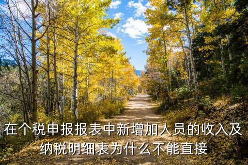 個稅申報如何增加新納稅人，在個稅申報報表中新增加人員的收入及納稅明細表為什么不能直接