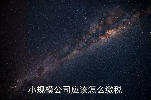 小規(guī)模公司應該怎么繳稅