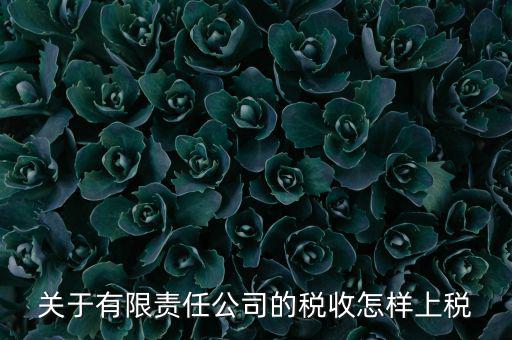有限責(zé)任公司如何繳稅，有限責(zé)任公司是如何納稅的要繳納的稅種都有哪些