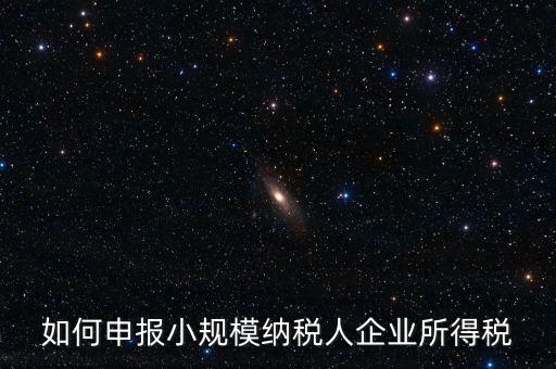 小規(guī)模納稅人如何報(bào)企業(yè)所得稅，如何申報(bào)小規(guī)模納稅人企業(yè)所得稅