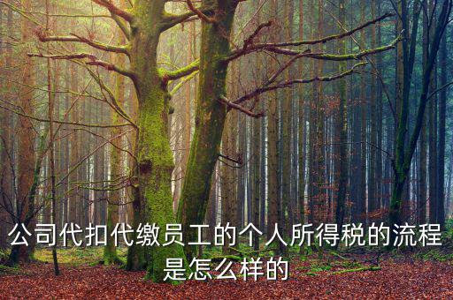 如何代扣代繳個(gè)人所得稅，代扣代繳個(gè)人所得稅