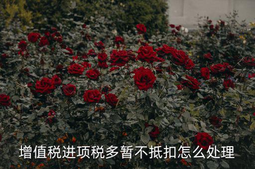 增值稅進(jìn)項稅多暫不抵扣怎么處理