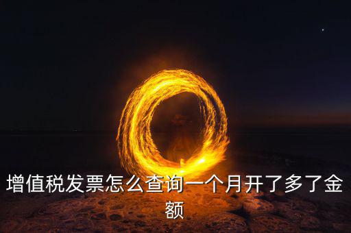 增值稅發(fā)票怎么查詢(xún)一個(gè)月開(kāi)了多了金額