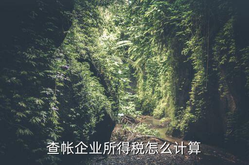 企業(yè)所得稅如何查賬，企業(yè)所得稅計算 查賬法