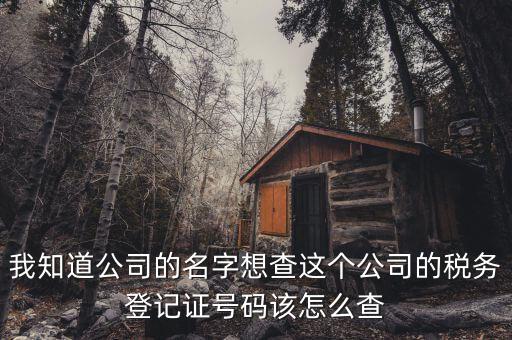 如何查詢稅務(wù)登記證號碼，稅務(wù)登記號查詢