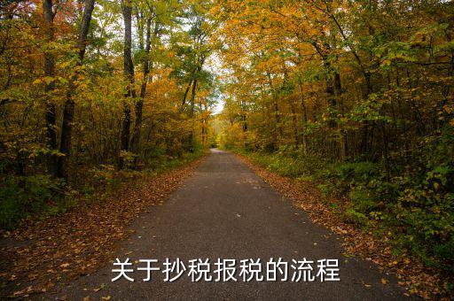 抄稅后如何報(bào)稅，抄報(bào)稅的操作步驟是什么
