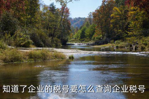 國際企業(yè)稅號如何查詢系統(tǒng)，美國客戶的稅號怎么網(wǎng)上查嗎